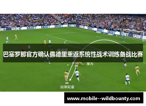 巴塞罗那官方确认佩德里重返系统性战术训练备战比赛 巴塞罗那官方确认佩德里重返系统性战术训练备战比赛
