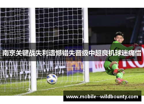 南京关键战失利遗憾错失晋级中超良机球迷痛惜