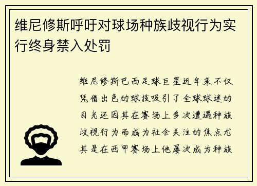 维尼修斯呼吁对球场种族歧视行为实行终身禁入处罚 维尼修斯呼吁对球场种族歧视行为实行终身禁入处罚